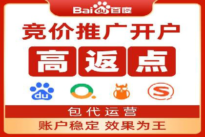 SEM代运营案例：品牌影响力提升